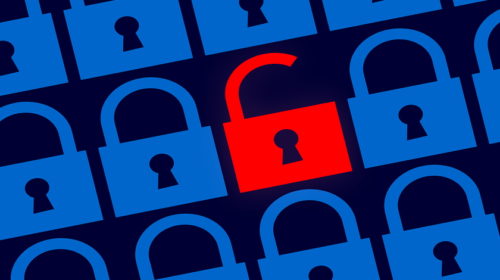 cyber security CVE