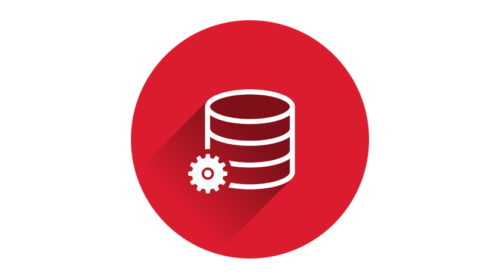 database security