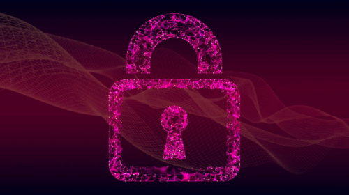 security průzkum zdravotnictví