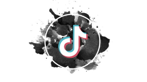 TikTok privacy data