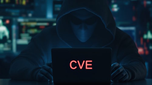 768 CVE zneužitých v roce 2024, což představuje 20% 2023