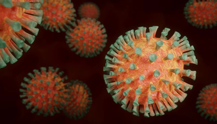 COVID-19 Koronavirus