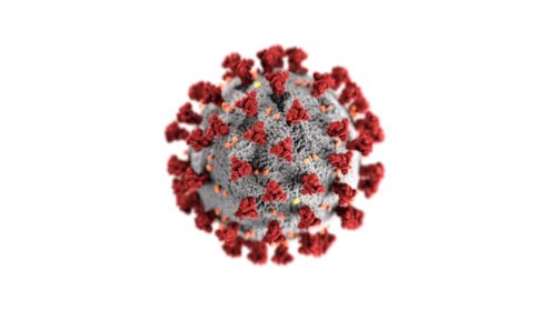 koronavirus