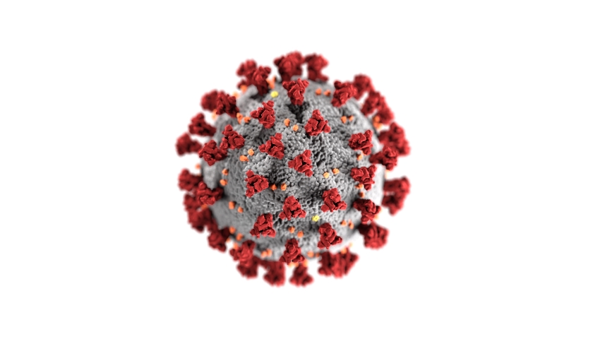koronavirus