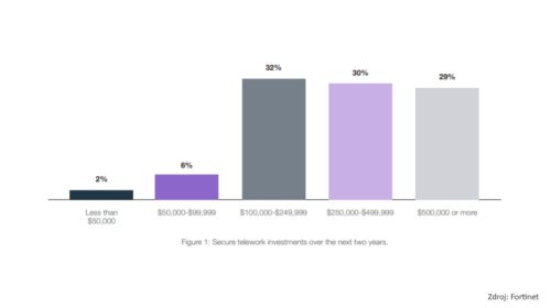 : Secure telework investments over the next two years