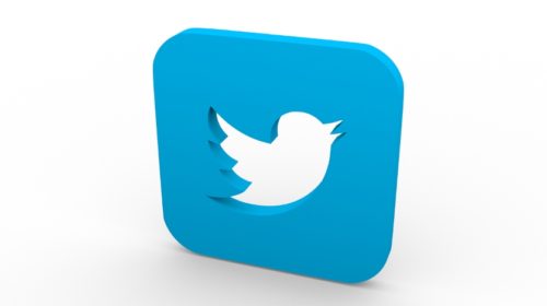 Twitter bug location