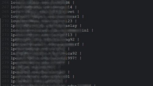 Zoom security
