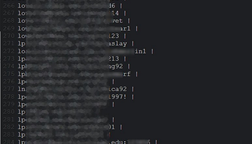 Zoom security