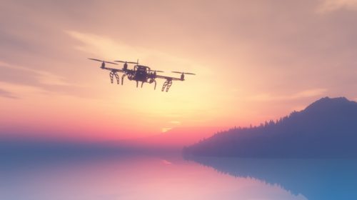 dron security