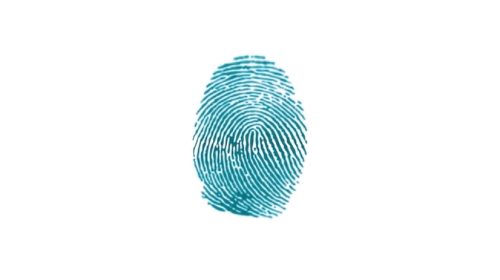 fingerprint