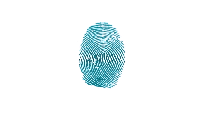 fingerprint