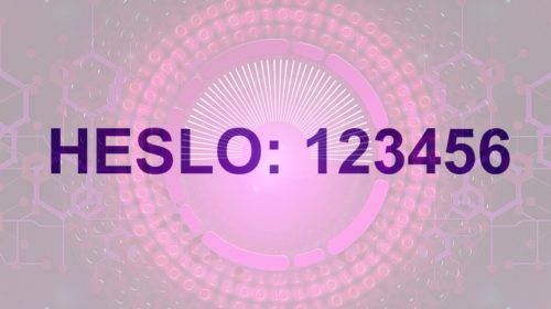 heslo security