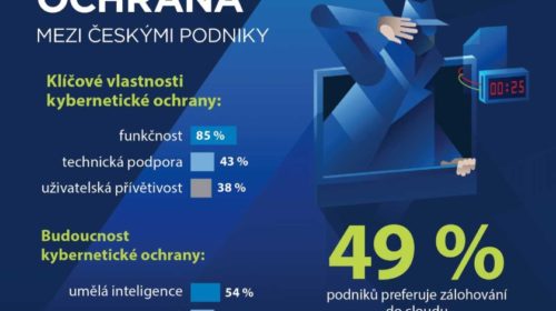 kybernetická ochrana v ČR