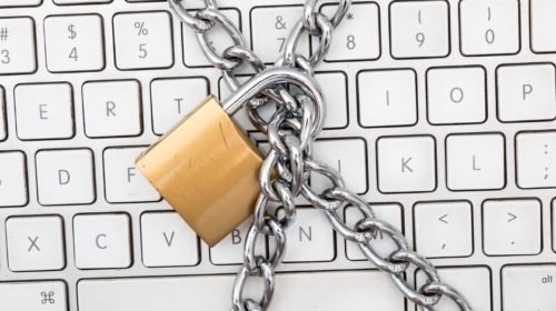 Průzkum: Jak se chovají Češi na internetu?